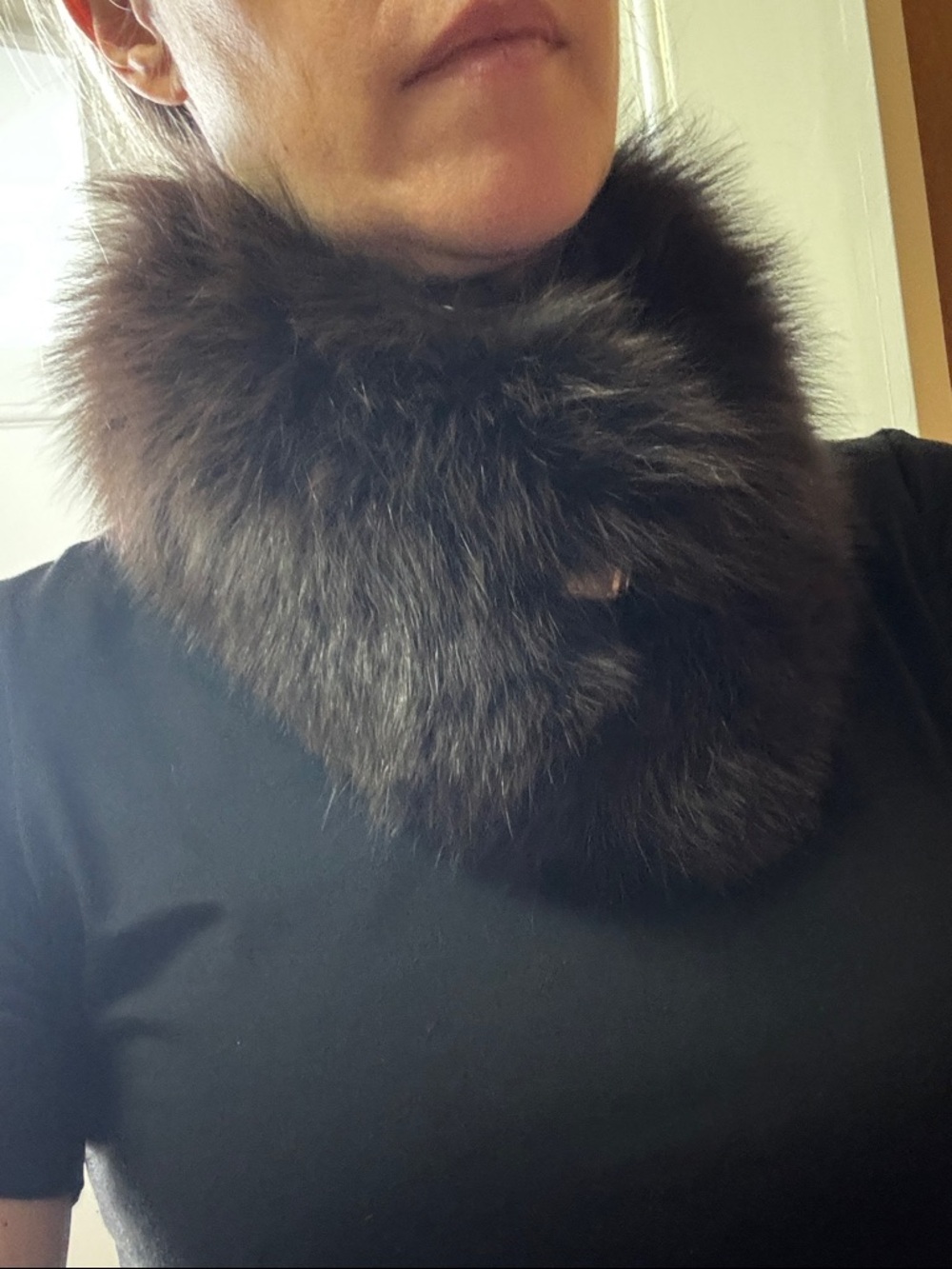 Bobby Jones Dark Brown Faux Fur Neck Wrap